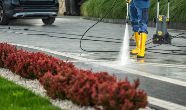Best Fence Pressure Washing  in La Porte, IN