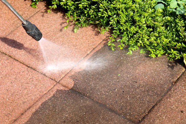 Best Residential Pressure Washing Services  in La Porte, IN